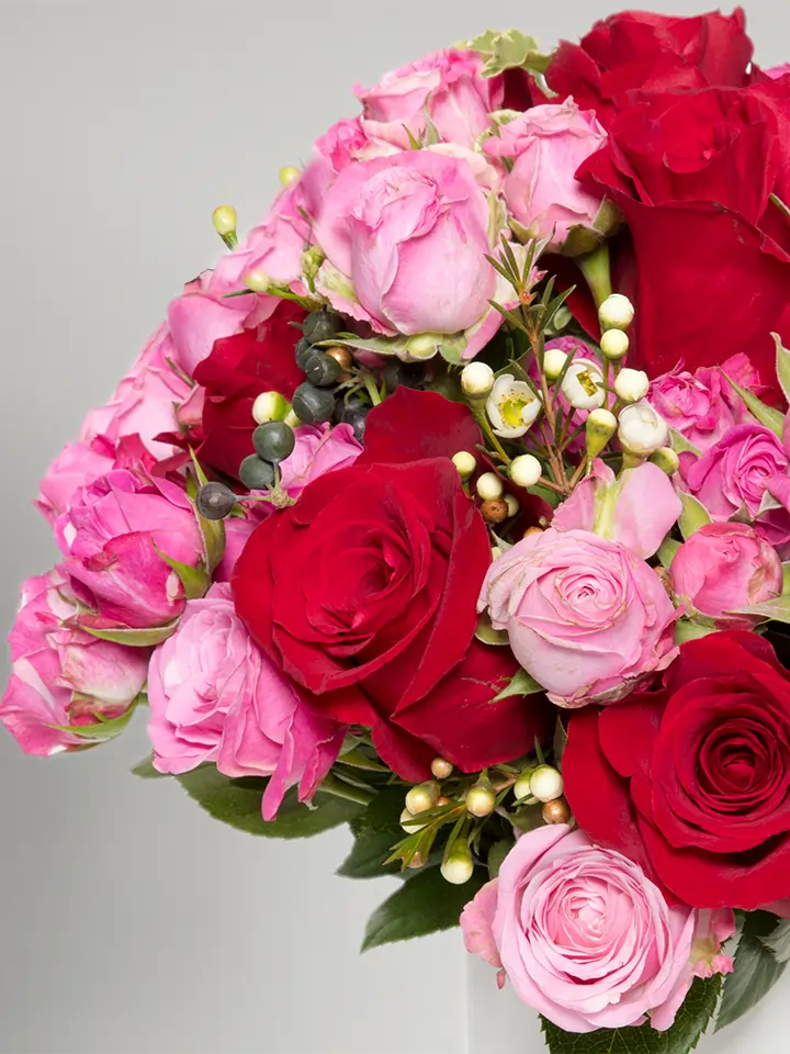 Bouquet compatto di rose rosse e rosa macro